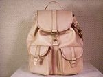 Medium sized Gaucho Leather Backpack